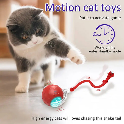 Whisker® Interactive Motion Activated Cat Toy