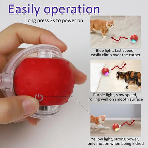 Whisker® Interactive Motion Activated Cat Toy