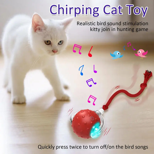 Whisker® Interactive Motion Activated Cat Toy